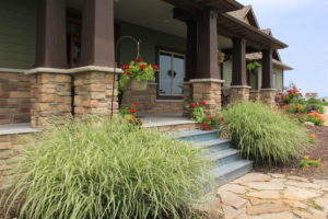 Ornamental grass height in June