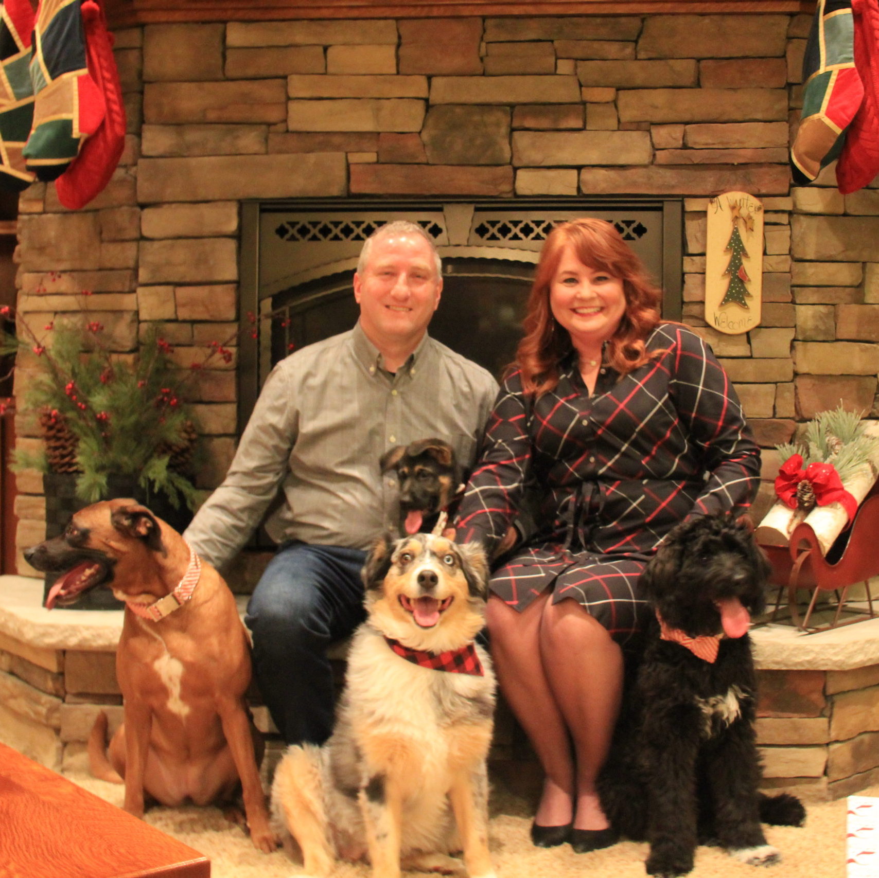 Christmas with the dogs.