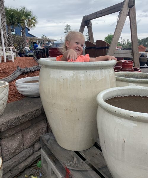 Grandma was on the hunt for a new pot. I like what this one grows!