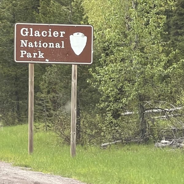 Entering Glacier, only got to go 16 miles in, still snow blocking roadways.