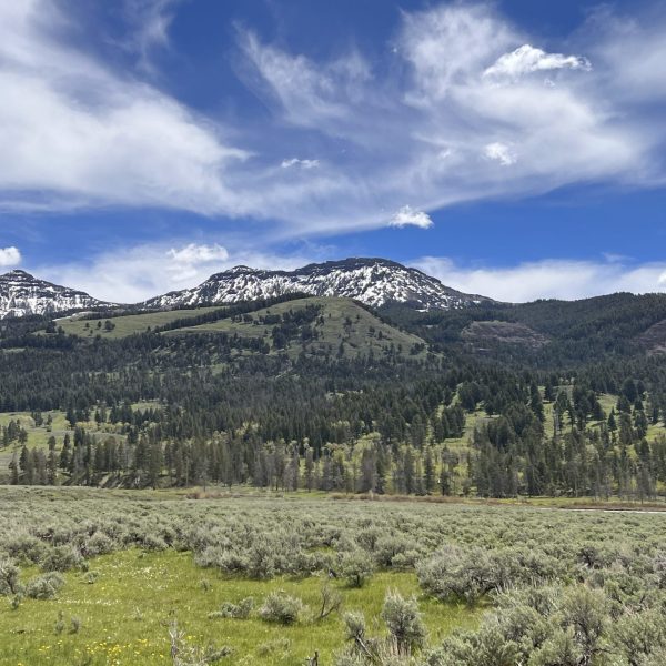 Coming up to bear tooth road