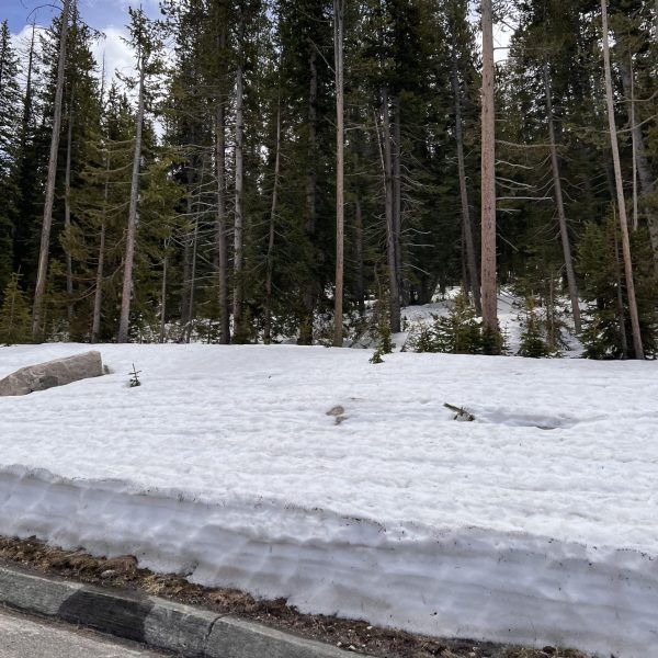 Ascending bear tooth road