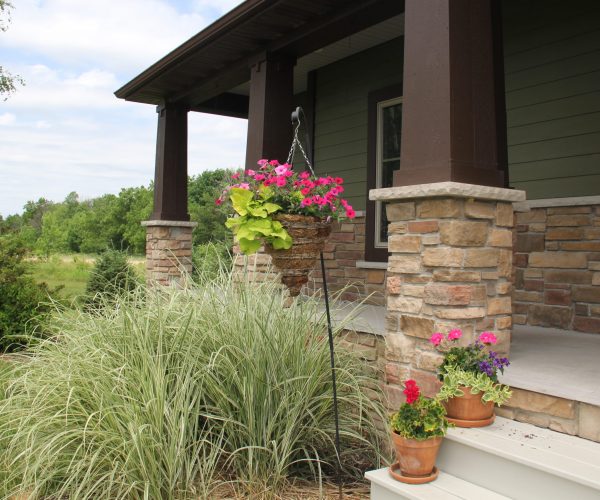 To the front now. The ornamental grass that bookends the front steps is amazing. We took so much out of it this spring and replanted and still there's plenty here.